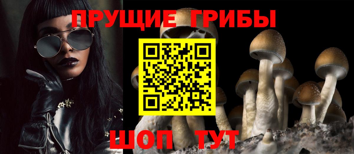 Видное  Галлюциногенные грибы MAGIC MUSHROOMS  Вход с VPN 